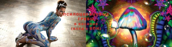 прущая мука Белоозёрский