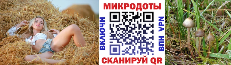 Псилоцибиновые грибы мицелий  как найти закладки  Рудня 