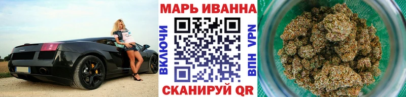 блэк спрут как зайти  Рудня  Бошки Шишки семена 